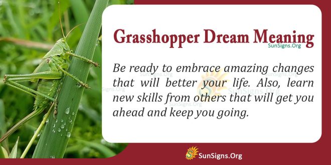 Grasshopper Dream Meaning