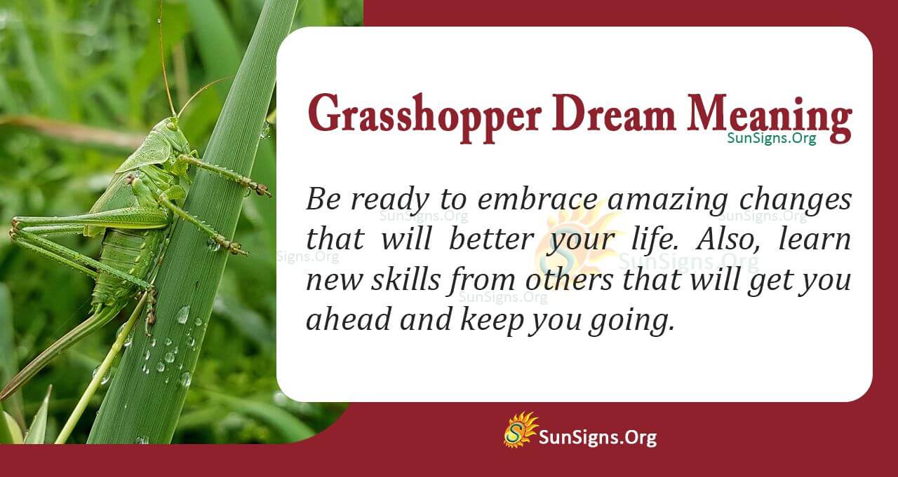 What Is The Meaning Of A Dream? Interpretation And