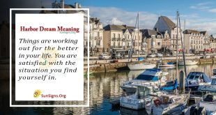 Harbor Dream Meaning