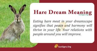 Hare Dream Meaning