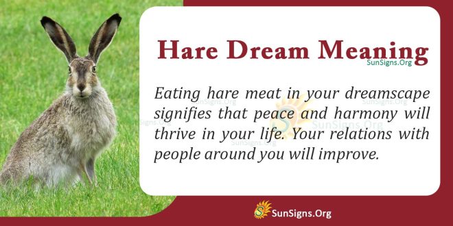 Hare Dream Meaning