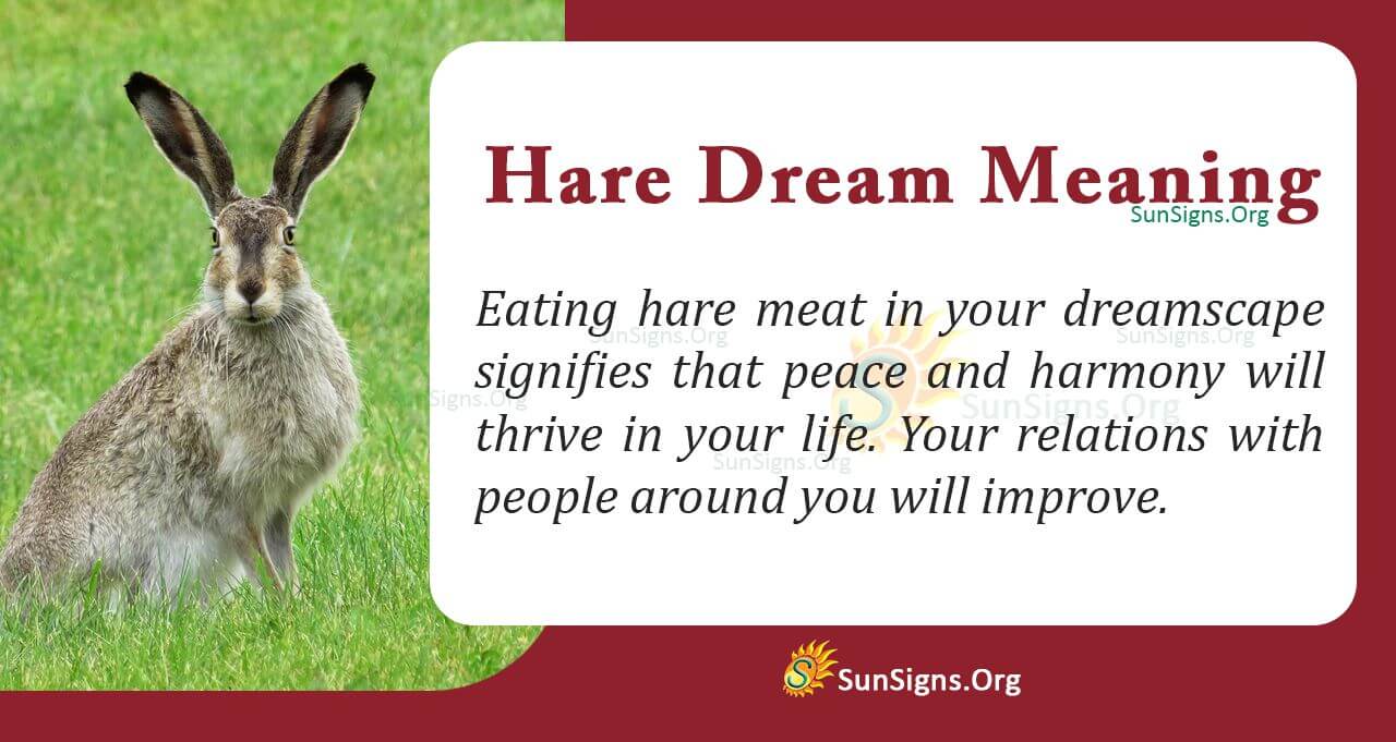 Hare in Your Dream and Its Meaning, Interpretation and Symbolism