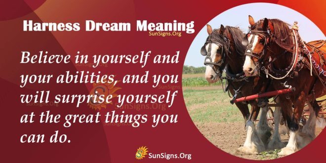 Harness Dream Meaning