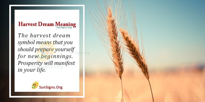 Harvest Dream Meaning