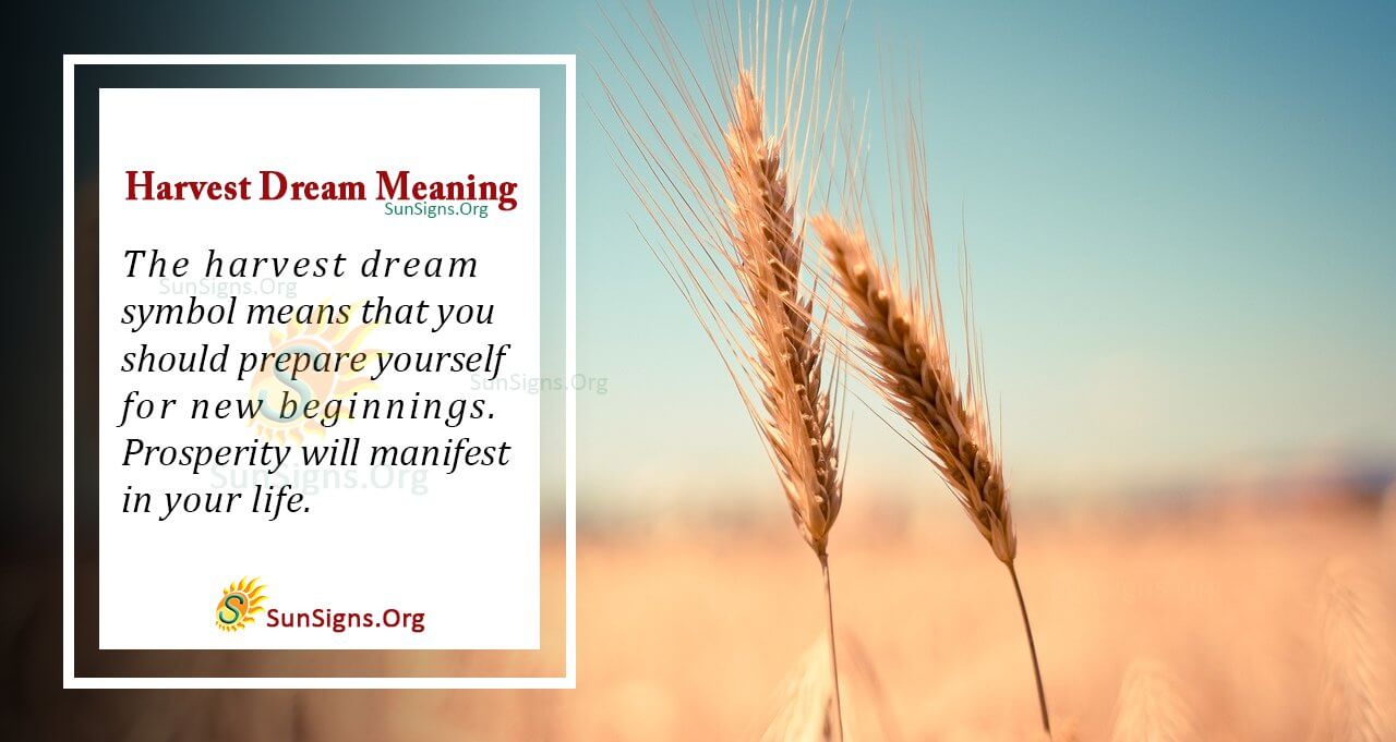 Harvest in Your Dream Meaning, Interpretation and Symbolism