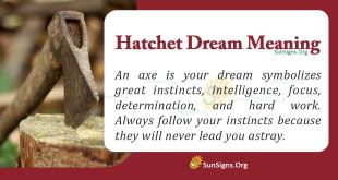 Hatchet Dream Meaning