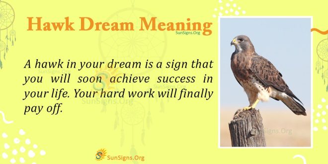 Hawk Dream Meaning
