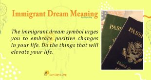 Immigrant Dream Meaning