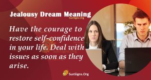 Jealousy Dream Meaning