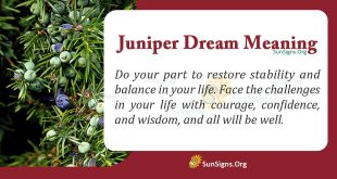 Juniper Dream Meaning