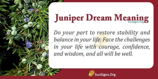 Juniper Dream Meaning