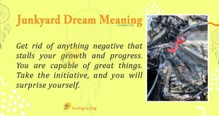 Junkyard Dream Meaning