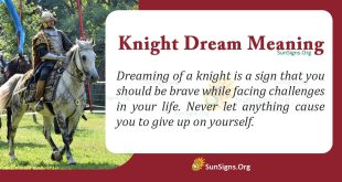 Knight Dream Meaning