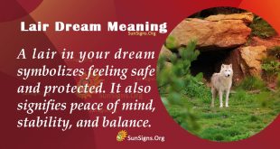 Lair Dream Meaning