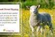 Lamb Dream Meaning