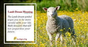 Lamb Dream Meaning