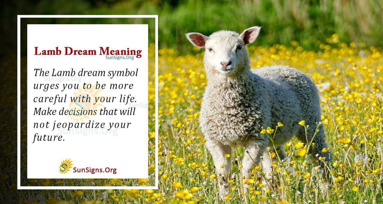 Seeing A Lamb In A Dream Meaning, Interpretation And Symbolism