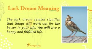 Lark Dream Meaning