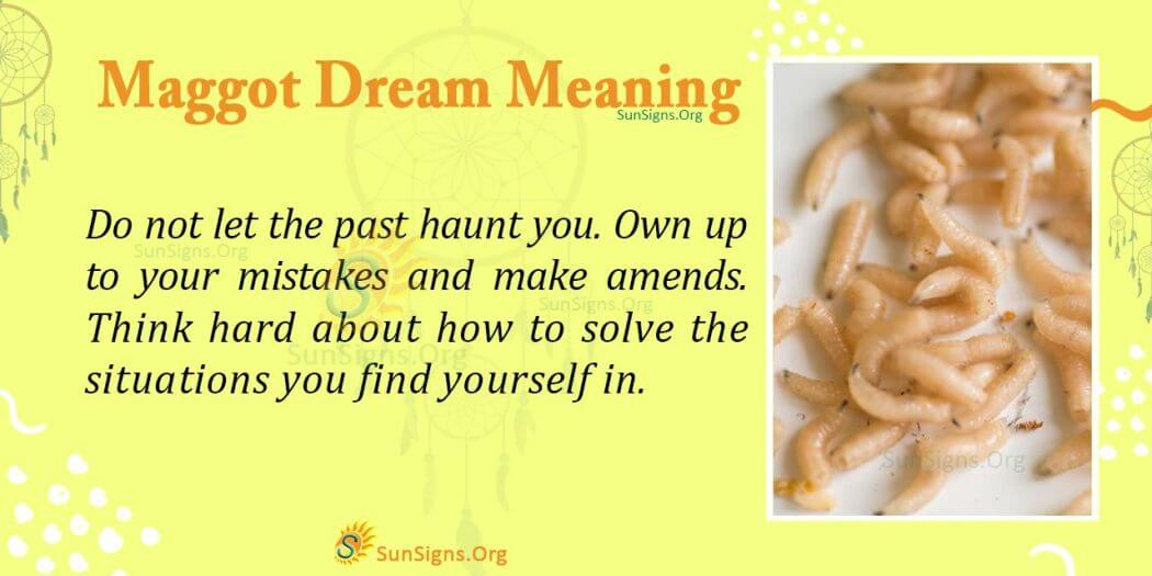 Maggots in Your Dream Meaning, Interpretation and Symbolism