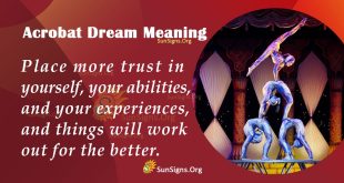 Acrobat Dream Meaning