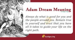 Adam Dream Meaning