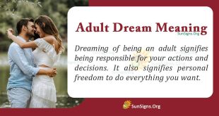 Adult Dream Meaning