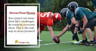 Adversary Dream Meaning