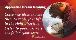 Apprentice Dream Meaning