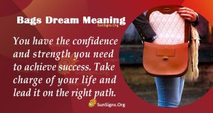 Bags Dream Meaning
