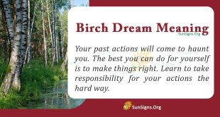 Birch Dream Meaning