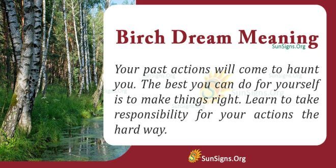 Birch Dream Meaning