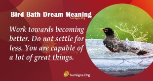 Bird bath Dream Meaning