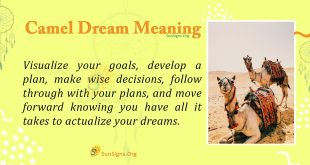 Camel Dream Meaning