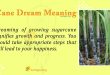 Cane Dream Meaning