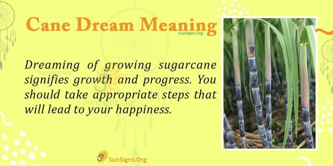 Cane Dream Meaning