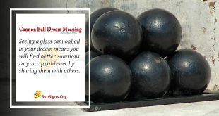 Cannon Ball Dream Meaning