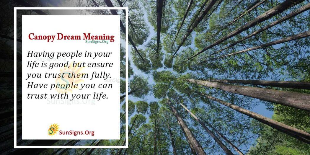 Interpreting The Canopy Dream Meaning And Symbolism