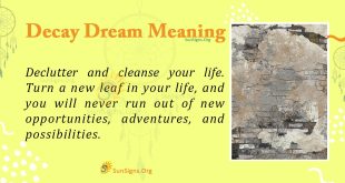 Decay Dream Meaning