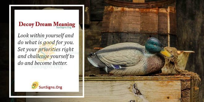 Decoy Dream Meaning