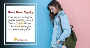 Denim Dream Meaning