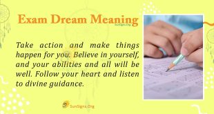 Exam Dream Meaning