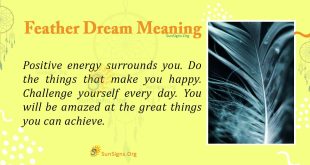 Feather Dream Meaning