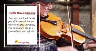 Fiddle Dream Meaning