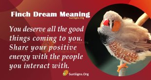 Finch Dream Meaning