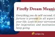 Firefly Dream Meaning