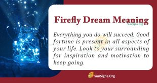 Firefly Dream Meaning