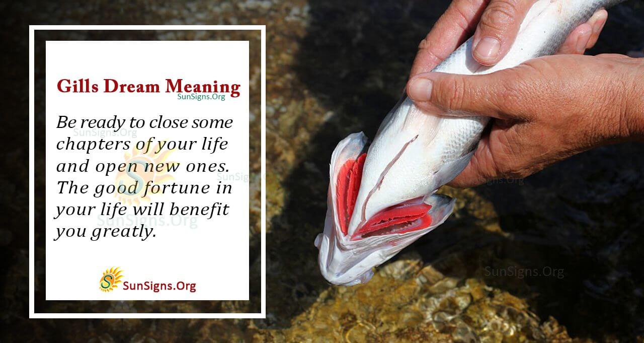 The Meaning Behind Gills in Your Dream Interpretation and Symbolism