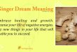 Ginger Dream Meaning
