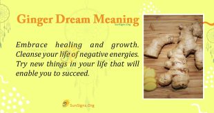 Ginger Dream Meaning