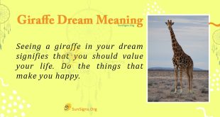 Giraffe Dream Meaning